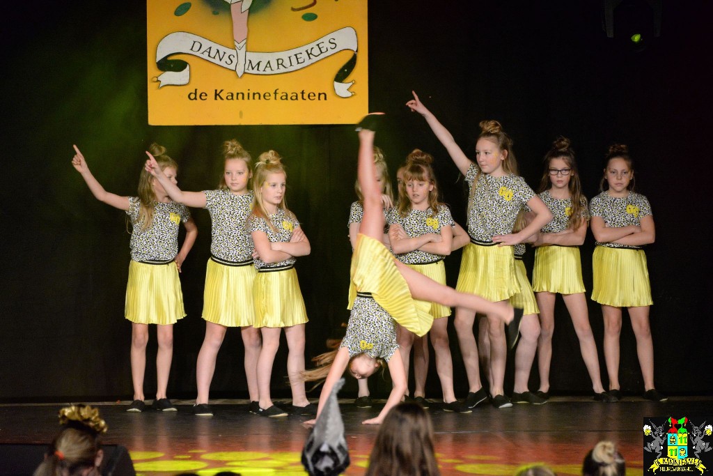 ../Images/Dansmariekefestival 2020 292.jpg